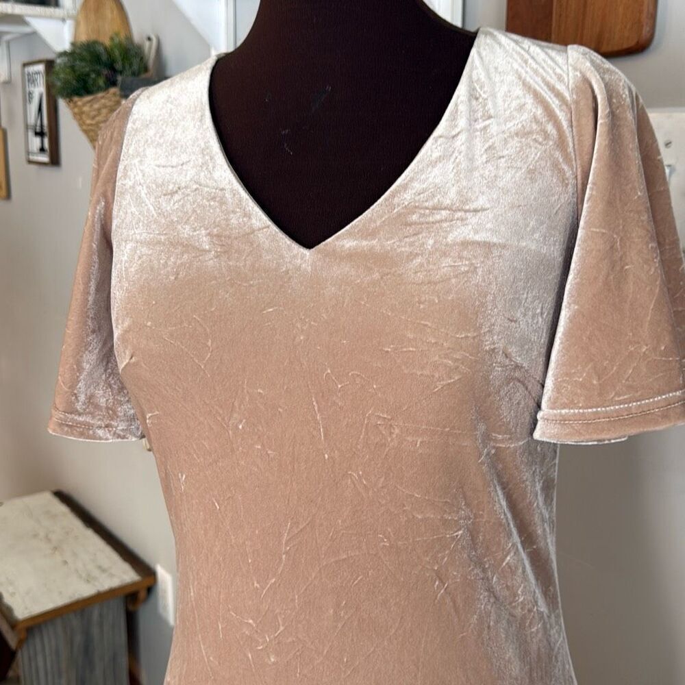 Revelry velvet bridesmaid dress size small champagne v neck flutter sleeve long - Picture 2 of 12